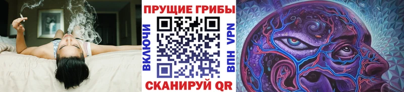 даркнет клад  Москва  mega сайт  Псилоцибиновые грибы Magic Shrooms  продажа наркотиков 